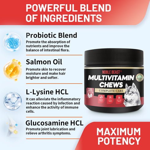 NOBLE BEAST Multivitamin Chews for Dogs - 120 Soft Chews - Chicken Flavor