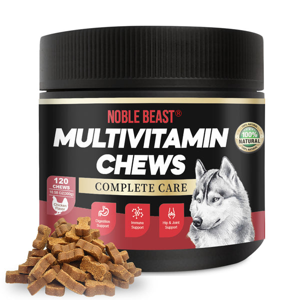 NOBLE BEAST Multivitamin Chews for Dogs - 120 Soft Chews - Chicken Flavor