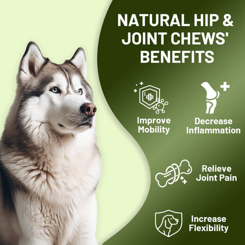 NOBLE BEAST Hip and Joint Chews for Dogs - 120 Soft Chews - Chicken Flavor